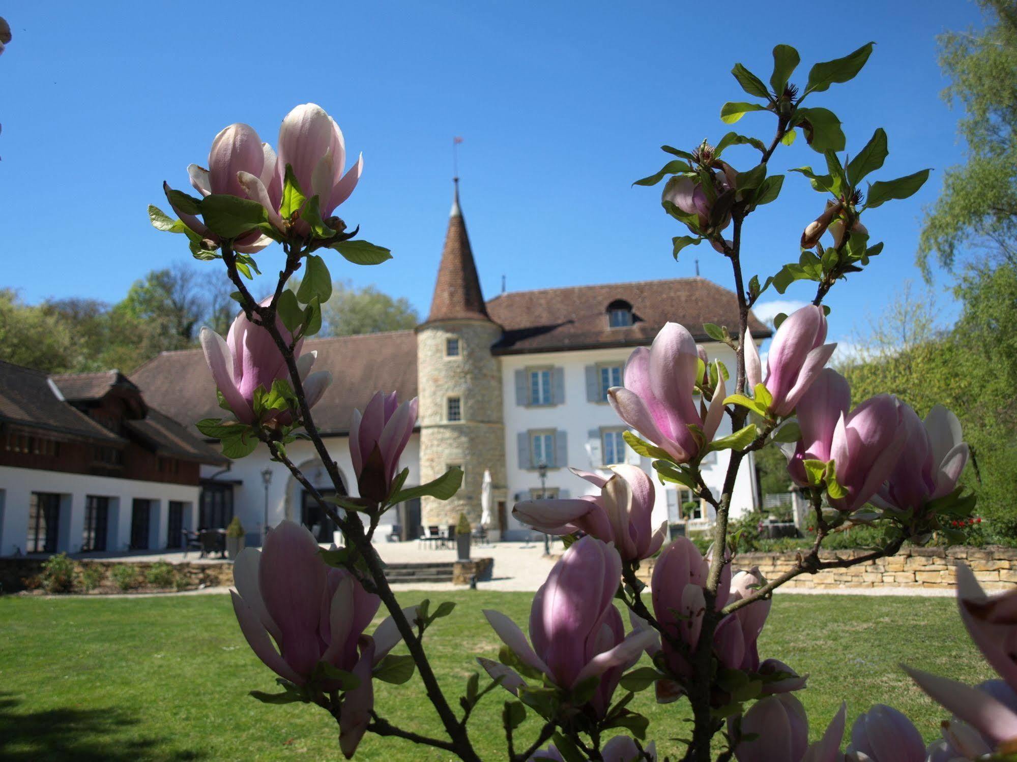 Château Salavaux Vully-les-Lacs Extérieur photo